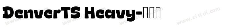 DenverTS Heavy字体转换